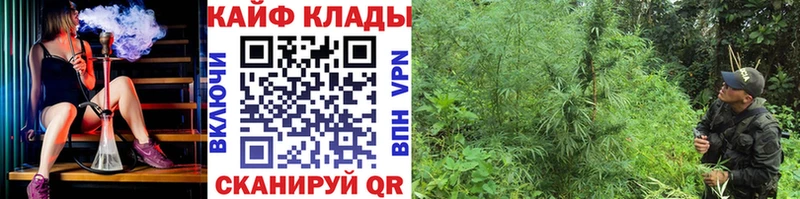 Цена Чекалин МАРИХУАНА  blacksprut ССЫЛКА  МЕФ  COCAIN 