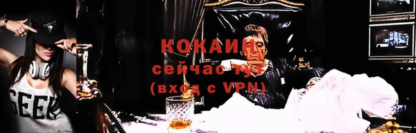 стаф Абинск