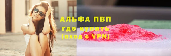 стаф Абинск