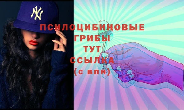 ешки Абдулино