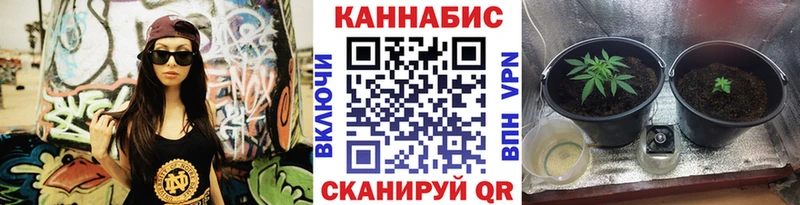mega ссылки цена Чекалин Бошки Шишки тримм